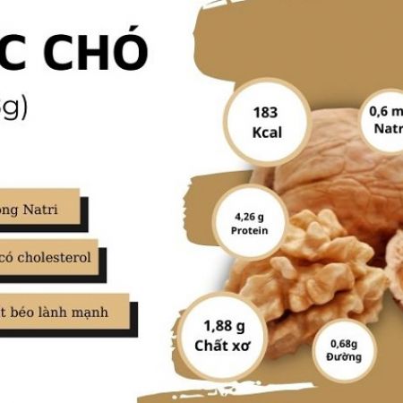 Giá trị dinh dưỡng và những lợi ích bất ngờ từ hạt óc chó