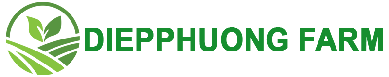 CÔNG TY TNHH SX & TM DIỆP PHƯƠNG