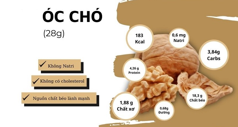 Giá trị dinh dưỡng và những lợi ích bất ngờ từ hạt óc chó
